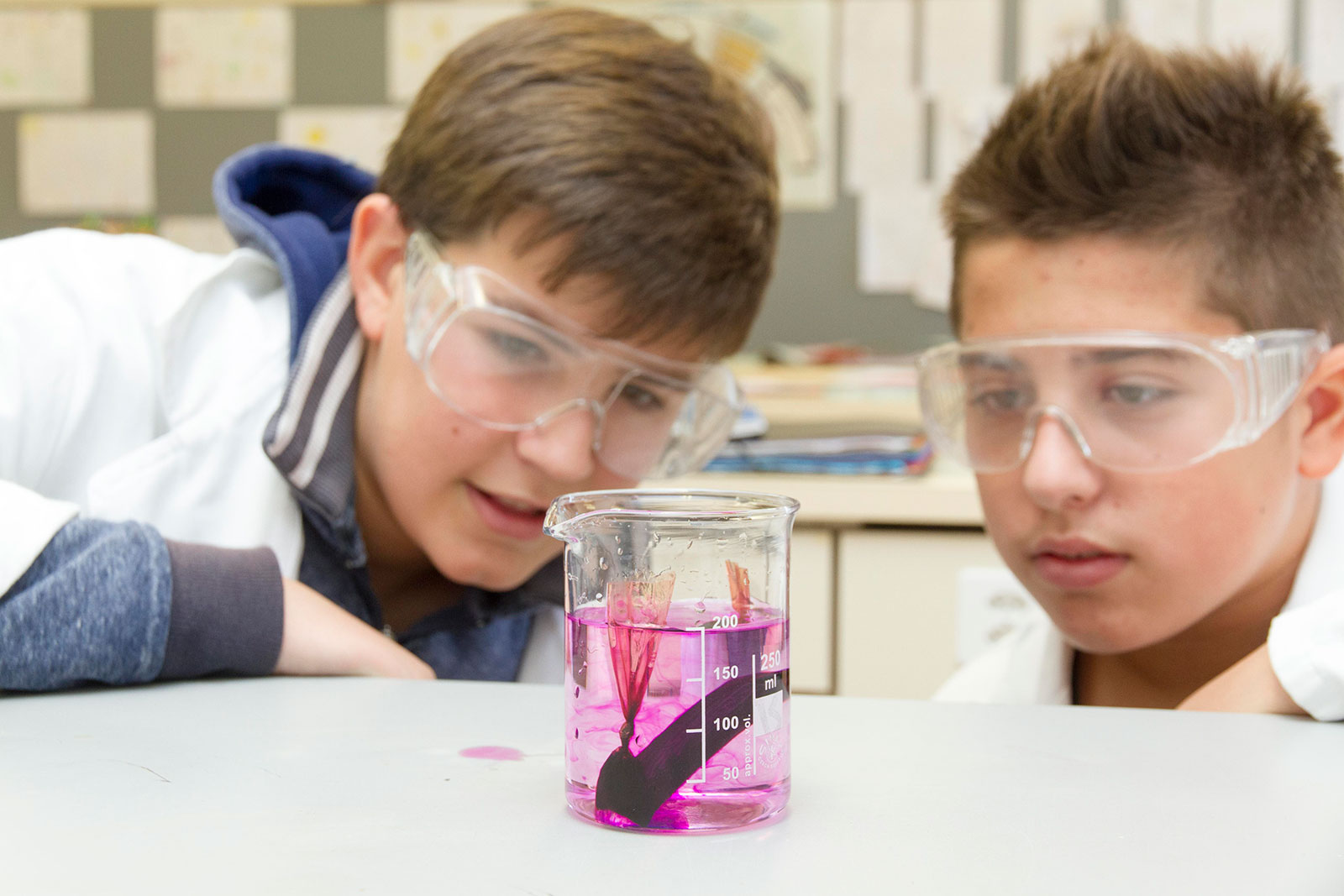 Chemistry class at an international school - Brillantmont International School Chemistry class at an international school - Brillantmont International School